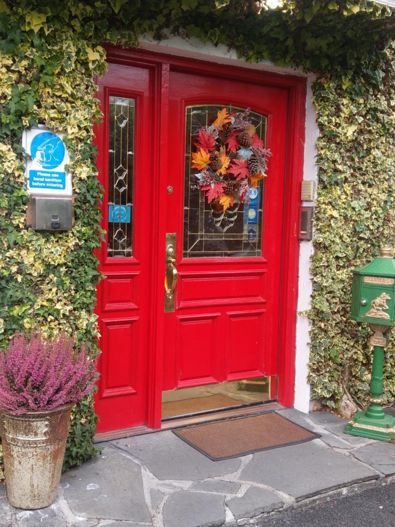 Ash Grove House Bed & Breakfast Galway Luaran gambar